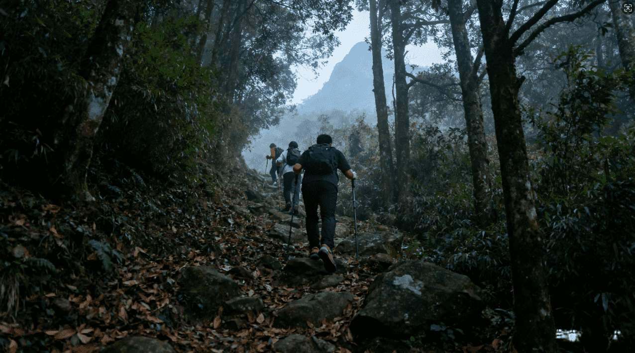 老王2216加速器在游戏加速中的最佳应用实践